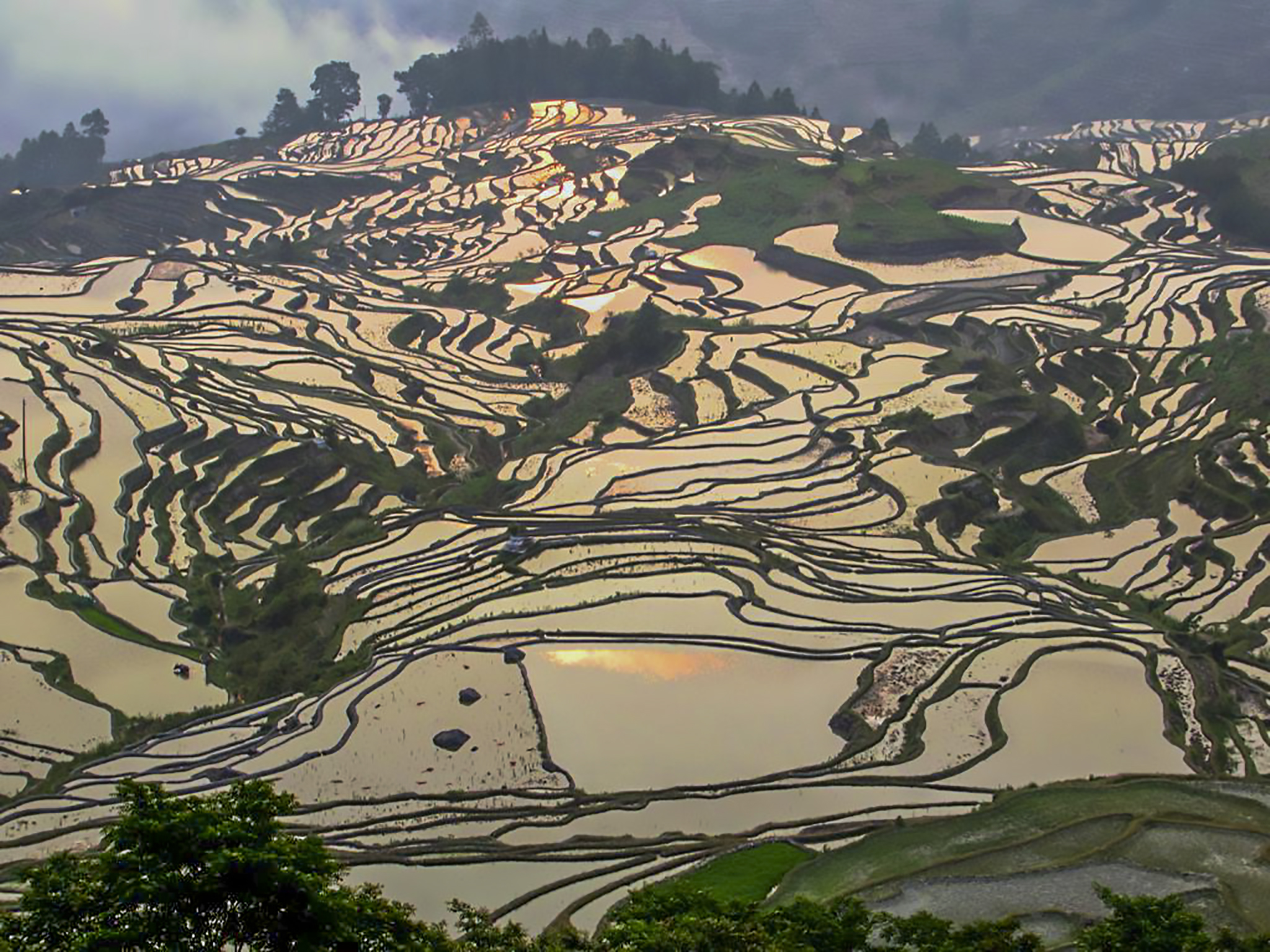 The Yuanyang Rice Terraces, China