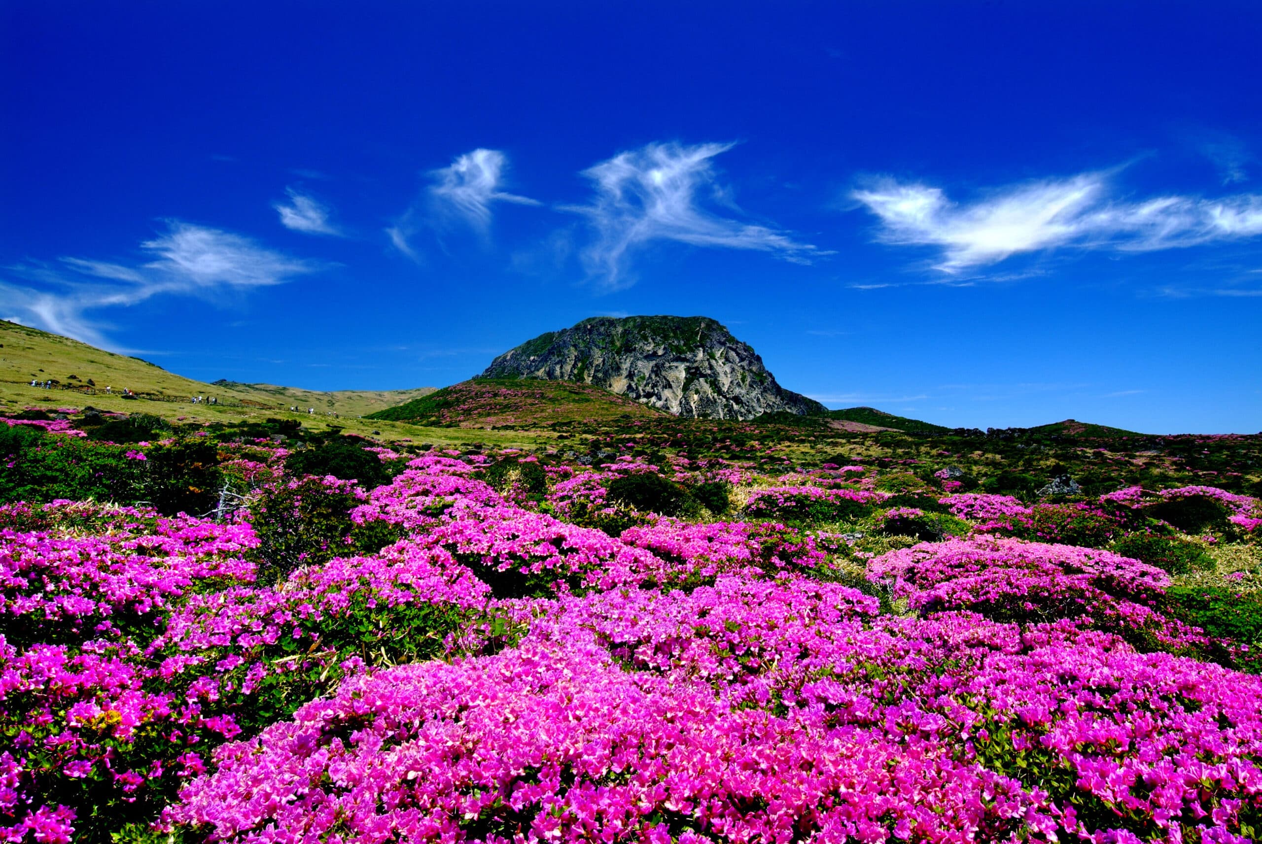 Hallasan is volcano on Jeju Island in South Korea