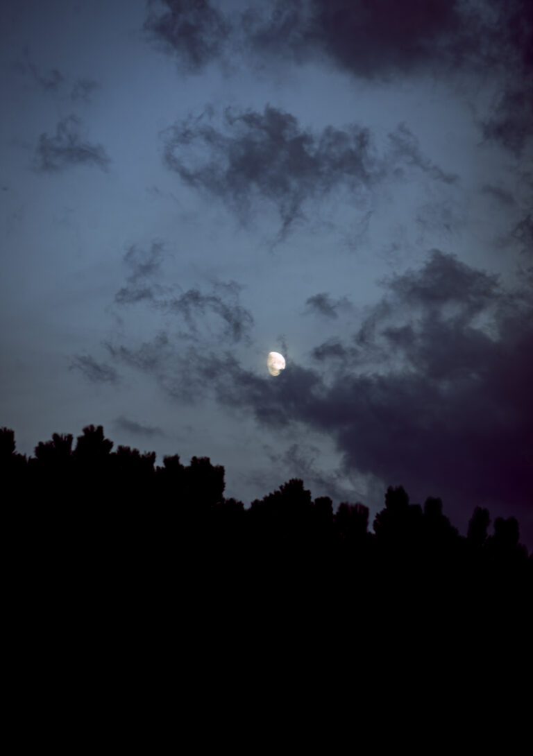a bright moon shining over the trees