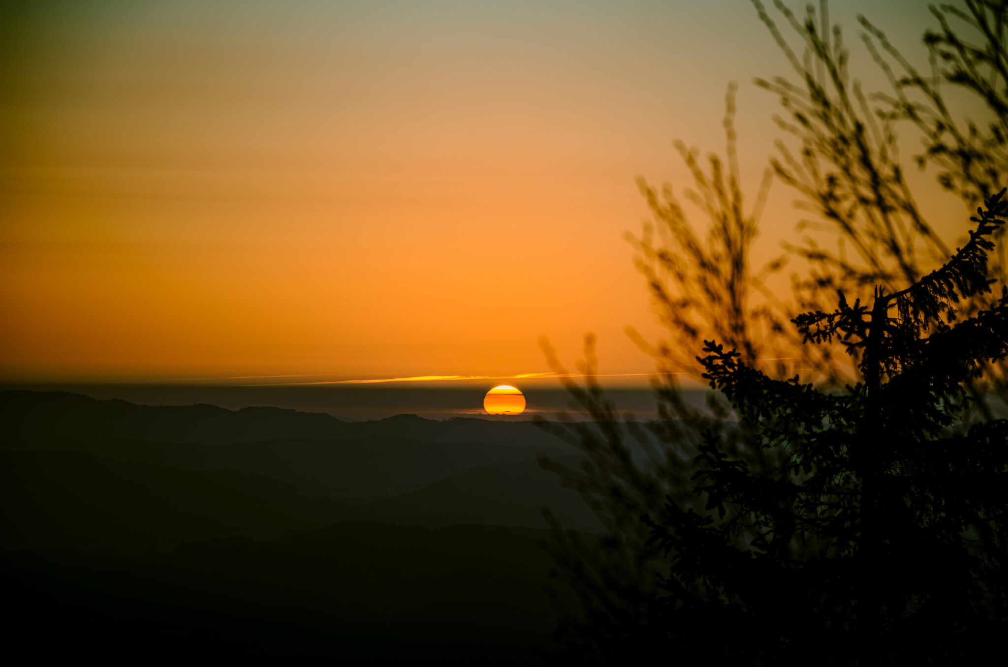 a yellow-orange sun over the mountains and trees