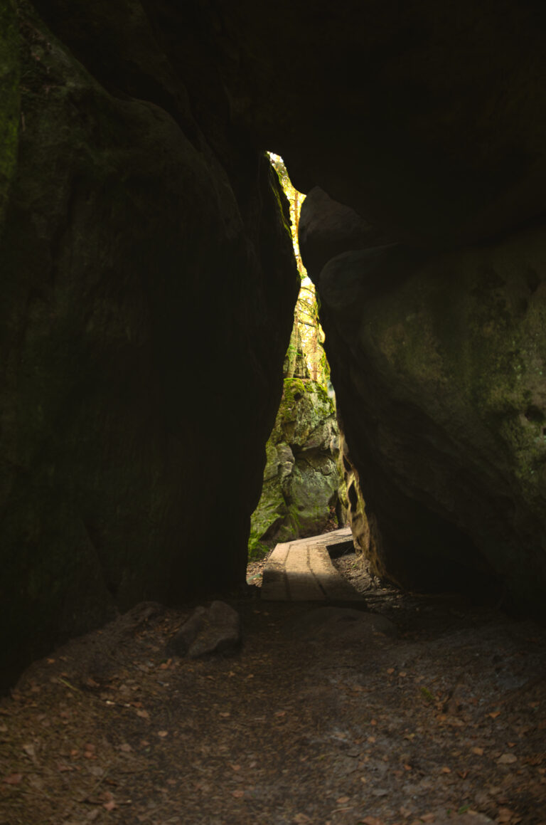 a forest path in the rocks