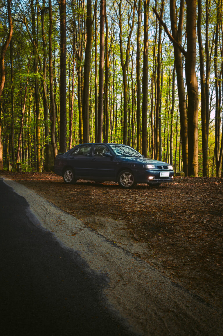 old car seat toledo next to the road on the forest background