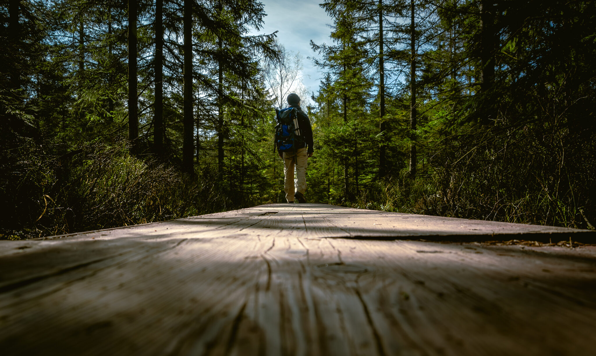 a man with a blue backpack and a hat, walking along a path in a green forest