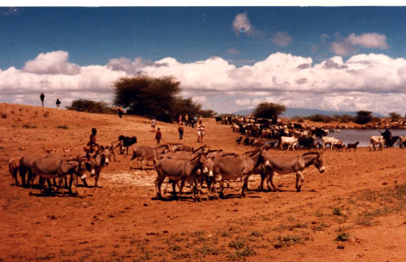 Lake Turkana in Africa